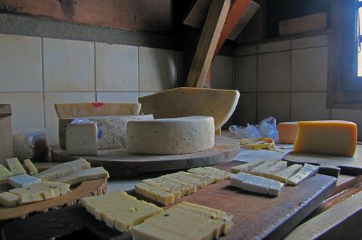 В Краснодарском крае построят новых цех по производству сыров