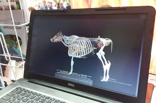 Первая в мире «цифровая» корова разработана в России