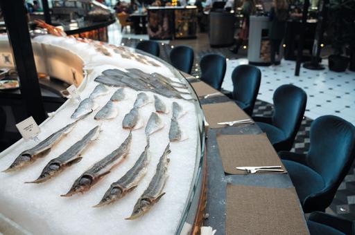 Культурная рыба: какое будущее ждет российских рыбозаводчиков