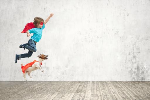 Ветеринары: прыгать с дивана для собак опасно
