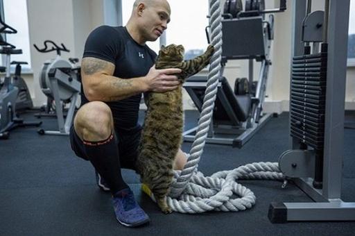 После истории с «Аэрофлотом» упитанный кот Виктор займется спортом