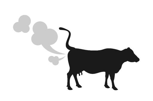 Молоко вместо метана: для снижения парникового эффекта предлагают изменить генетику коров
