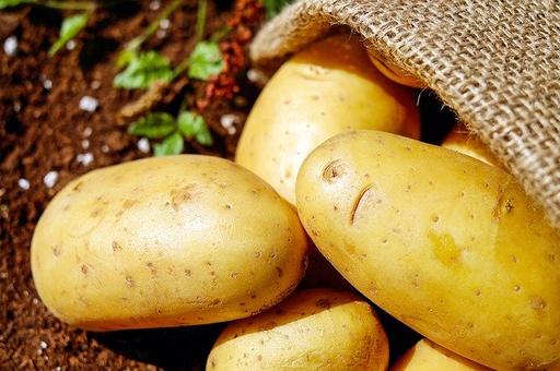 Россия ужесточает контроль за поставками цитрусовых и картофеля из КНР