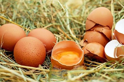 Российские ученые предложили дезинфицировать яйца облучением