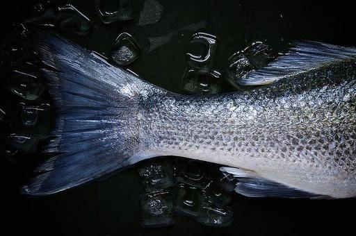 Росрыболовство определит объемы экспорта рыбы для Камчатки