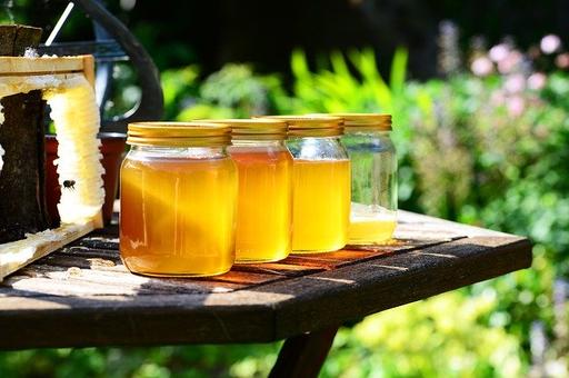 Эксперты: из-за гибели пчёл возможен рост импорта мёда и цен на него