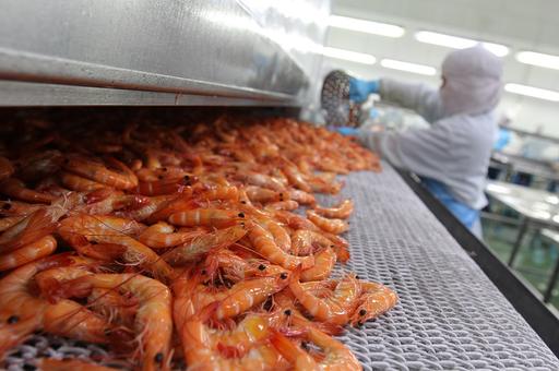 Почему Россия приостановила ввоз аквакультурной продукции из Китая