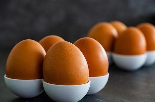 Китайские ученые сравнили свойства яиц уток и гусей с куриными