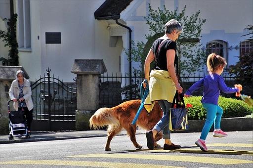 Для пенсионеров России ввели бесплатные ветеринарные консультации