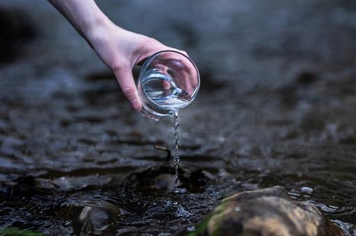 Листерии в воде: чем опасно питье из природных водоемов