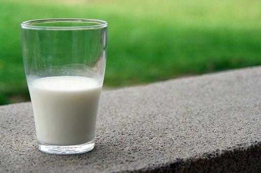Агрохолдинг «Мирный» намерен стать крупнейшим в России производителем продукции из козьего молока