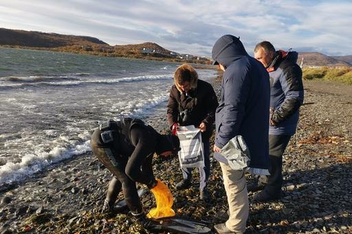 Россельхознадзор исследует пробы морской фауны с места гибели животных на Камчатке