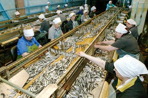 В России снижается производство рыбной муки