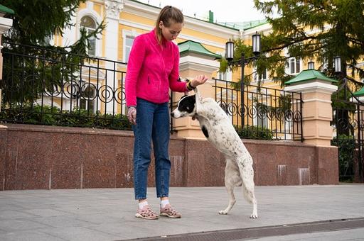 В Госдуме предложили строить площадки для выгула собак на федеральные средства