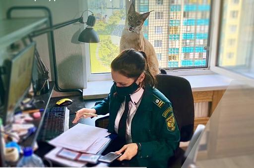 Росприроднадзор проверил содержание рысей в квартире в Санкт-Петербурге