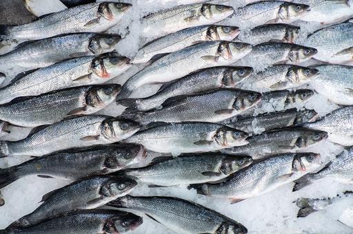 Экспорт российской рыбы и рыбопродукции вырос на 7,5%