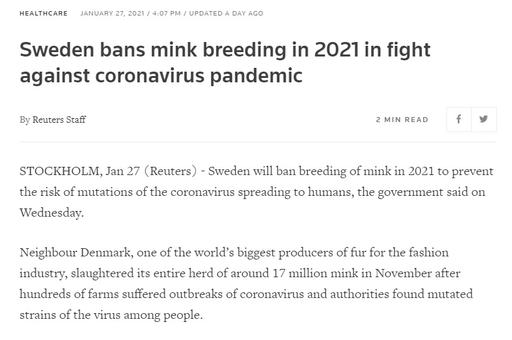Власти Швеции запретят разводить норок в 2021 году