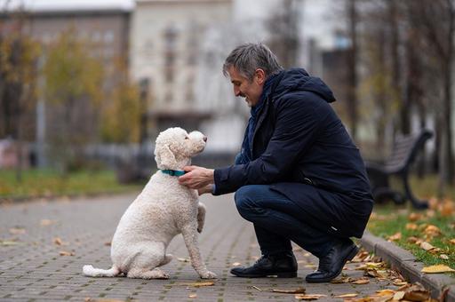 Будимир Плавшич: «Собака – это все, о чем я прошу», – сказала моя дочь