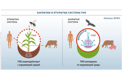 В России изменят законодательство в отношении генно-модифицированных организмов