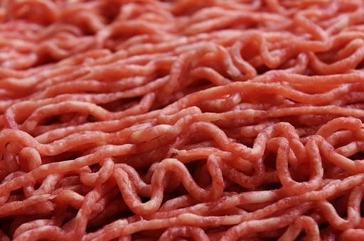 В России будут выпускать мясо из белка насекомых