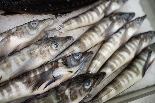 Экспорт российской рыбы сократился на 37,9%