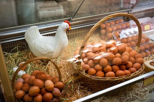 Минсельхоз разработал новые правила ветеринарно-санитарной экспертизы яиц