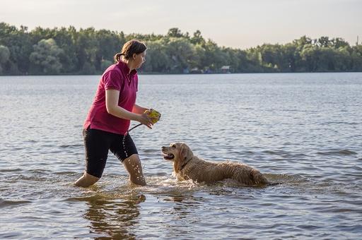 Ветврач рассказала о правилах отдыха с собакой на воде
