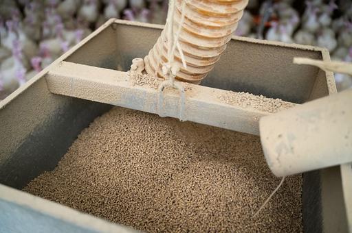Россельхознадзор требует приостановить поставку кормов из Германии из-за ГМО