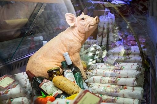 Эксперты прогнозируют рост экспорта российской свинины почти на 60% к 2025 году