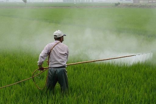 Правила ввоза пестицидов в Россию ужесточат с конца июня