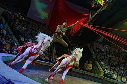 В Волгограде покажут первый цирковой спектакль о войне с участием животных