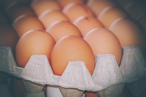 Росптицесоюз дал прогноз по восстановлению объемов производства яиц