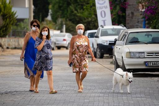 Владельцев собак в Тель-Авиве обяжут сдавать образцы ДНК питомцев