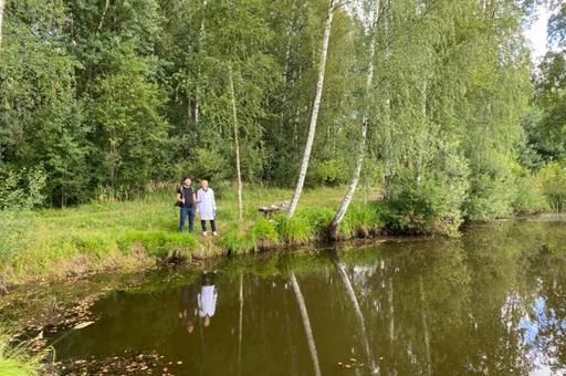 В Ленинградской области придумали, как бороться с водорослями в водоемах