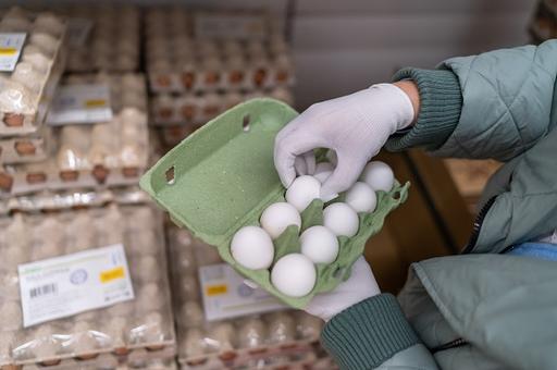 Россельхознадзор приостановил ввоз цыплят и яиц из региона Бельгии из-за гриппа птиц