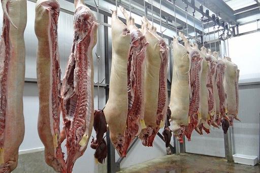 Свиноводы рассчитывают нарастить экспорт до 235 тысяч тонн