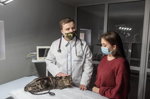 ДГТУ сообщил об открытии ординатуры по ветеринарным наукам в 2022 году