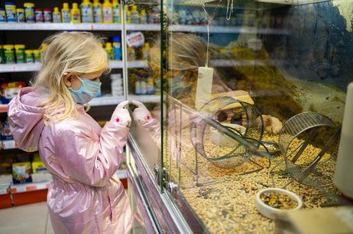 В России вступил в силу новый ГОСТ по содержанию животных в зоомагазинах
