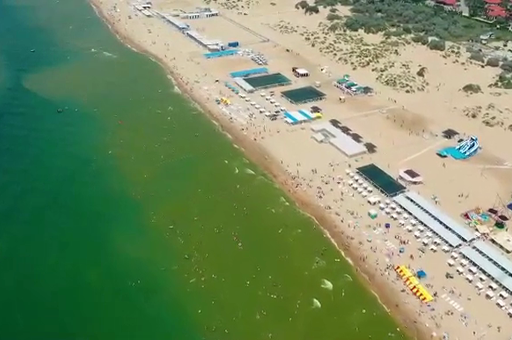 Ученые объяснили, почему Черное море у берегов Анапы стало зеленым