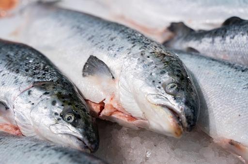 Поставки рыбы и морепродуктов из РФ в Нигерию, Францию и Норвегию выросли кратно