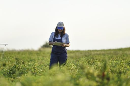 В России появилась первая деловая соцсеть для фермеров