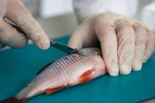 Эксперты предложили исследовать рыбу на биотоксины и пестициды