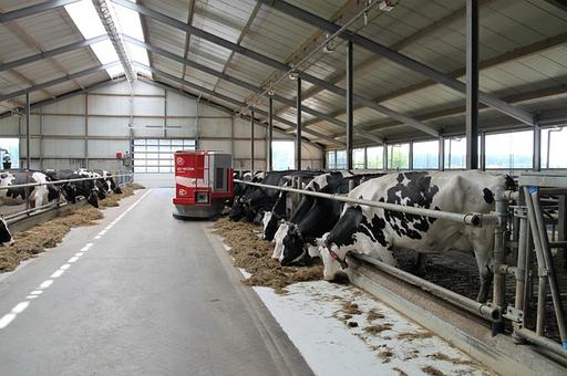 В Приамурье откроют молочную ферму на 2,4 тысячи голов КРС