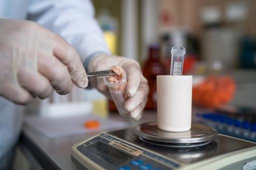 Эксперты «ЦНМВЛ» Россельхознадзора исследуют продукты на антибиотики