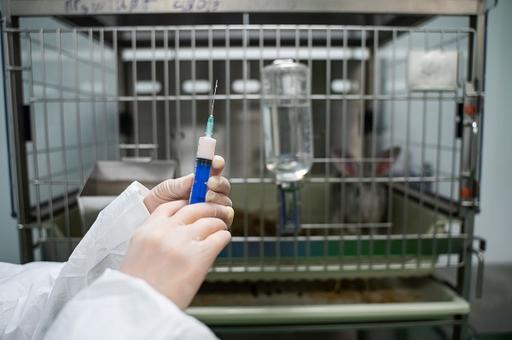 Российские ученые разработают вакцины нового поколения для животных