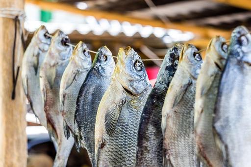 Что нужно помнить при покупке сушеной рыбы