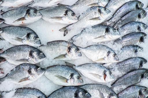 Экспорт российской рыбы в Китай упал на 68%