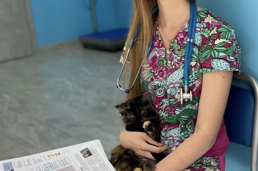 Анна Паршикова, ветеринарная клиника «9 Жизней», г. Брянск