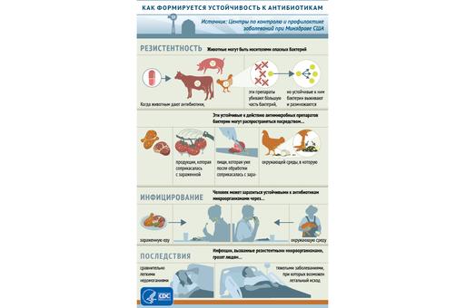 Как формируется устойчивость к антибиотикам