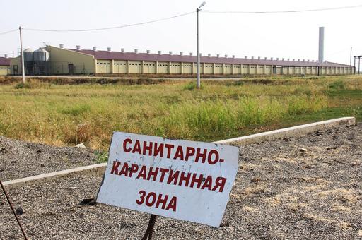 В Анапе на объектах «Газпрома» ввели карантин из-за АЧС
